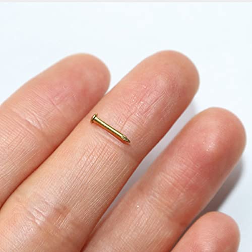 ULWSY Pequeños clavos de latón, 200 Uds. De 1,2 x 10 mm, pequeños clavos de cabeza redonda para madera, cajas de cuadros decorativos para bricolaje, accesorios para el hogar