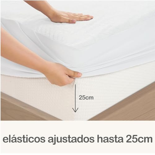 Various-Protector De Colchón Rizo Impermeable 135 x 190/200 x 25cm,Funda de Colchón Microfibra Rizo 130 gsm, Elástico En Todo El Contorno,Transpirable,Absorbente