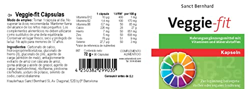 Veggie-Fit Cápsulas - para complementar la dieta vegetariana o vegana con vitaminas y minerales - 90 Cápsulas para 3 meses