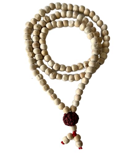 VELARDE Collar Mala De Madera y Rudraksha Hecho En La India - 108 cuentas - Meditación - Yoga - Repetición De Mantras - Protección Y Armonía - Comercio Justo