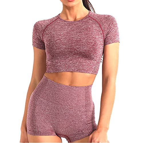 Veriliss 2 Pcs Conjunto De Yoga Sin Costuras Traje Deportivo Para Mujer Ropa De Entrenamiento Conjuntos De Gimnasio Top Atlético De Manga Corta Pantalones Cortos De Yoga Ropa Deportiva