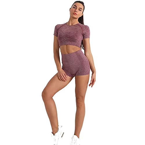 Veriliss 2 Pcs Conjunto De Yoga Sin Costuras Traje Deportivo Para Mujer Ropa De Entrenamiento Conjuntos De Gimnasio Top Atlético De Manga Corta Pantalones Cortos De Yoga Ropa Deportiva