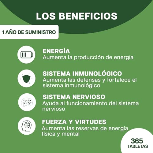 VITAMINA B EXTRA FUERTE | 365 Comprimidos (Suministro Por 12 Meses) | Complejo de Vitamina B con Vitamina B1, B2, B3, B5, B6, B12, con Biotina, Ácido Fólico y Vitamina B12 | Sin Gluten Y Lactosa