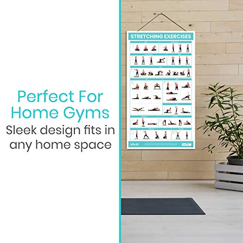 Vive Pósteres de entrenamiento para gimnasio en casa, 52 ejercicios de estiramiento, entrenamiento de cuerpo completo, gráfico de pared laminado pre post rutinas - Guía de instrucciones de posturas de