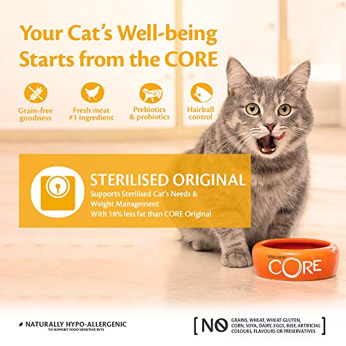 Wellness CORE Sterilised Original, Alimento seco para Gatos, Comida Seca para Gatos esterilizados, sin Granos, Alto Contenido de Carne, Pavo y Pollo, 300 g