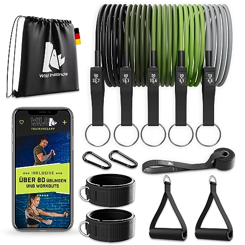 Wild Instincts® Set de Bandas de Resistencia para tu Gym en Casa/Banda Elástica Fitness con Asas para el Entrenamiento con Pesas/Bandas Elásticas Musculación/Gomas Elásticas Musculacion