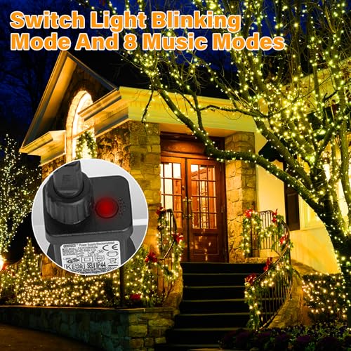 Withosent Luces Navidad, 30M 300 LED Luces para Arbol de Navidad, 8 Modos con Función de Memoria Luz Cadena Ligera Navidad para Jardín, Balcón, Interior, Boda, Fiesta Christmas Lights - Blanco Cálido