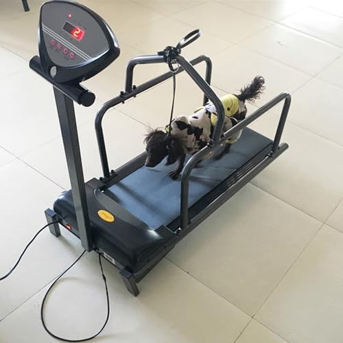 XUCS Cinta De Correr para Perros Pequeños, Máquina para Correr para Perros, Equipo De Entrenamiento Inteligente para Perros Que Caminan, Pantalla LCD, Velocidad De 0,8 a 6 Km/h, hasta 176 LB