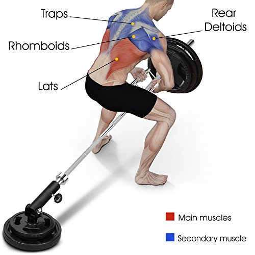 Yes4All YLTL Combo T-Bar Row Insert + Double D Handle, Fit 5cm Olympic Bars, Full 360° Swivel Great for Back, Muscle, Arm, Full-Body & Support Deadlifts, Squats for Home Gym