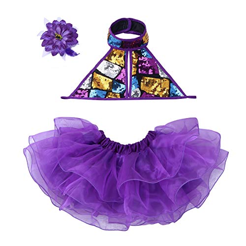 YiZYiF Vestido Tutú Niña para Danza Ballet Maillot Tutu De Patinaje Artistico Traje de Bailarina de Ballet para Niña 3-12 Años Morado 5-6 Años